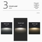 Modern Japanese Style LED Ceiling Light with Wooden Base